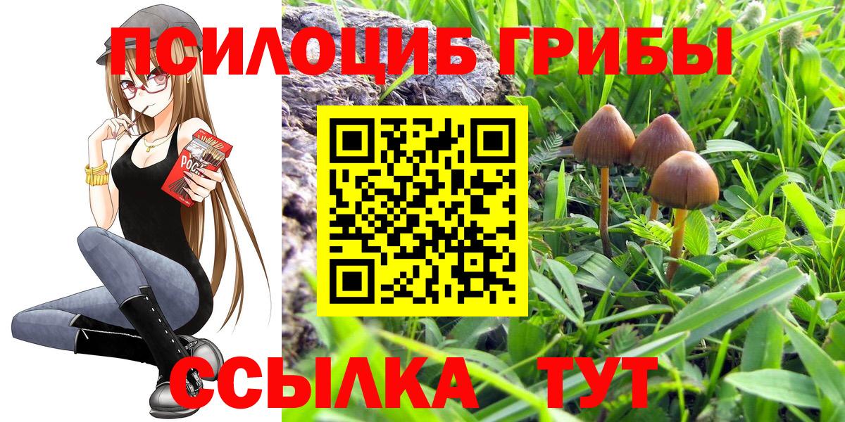 Сатка  Псилоцибиновые грибы Psilocybe  Вход с VPN 
